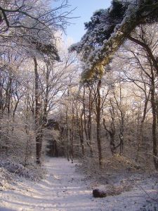 Wondermooi wandellaantje