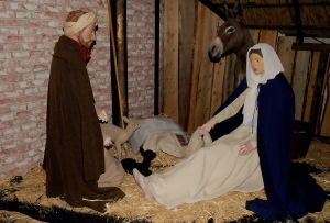 De Kerststal in de Sint-Jan, nog even zonder kindje Jezus